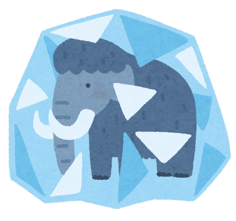 食材の保管環境